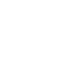 Text Box:      Each Perzina vertical and grand features European regulation and  intonation (voicing) approved to the standards set by Hans Leferink. 
 
     Mr. Leferinks technique provides a balance of color and an array of  nuances throughout the full scale of the piano.  The sound is strong, full bodied, but not over-weighted.  The European voicing provides  a clean, even mid-range, and a singing treble.  The action is weighted and balanced to express the true emotion of the   performer.
